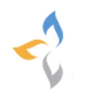 Synergy Group logo - Similar company to Pagi Srl