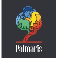 Palmaris Puzzles logo - Similar company to Quant Valuations