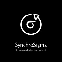 SynchroSigma logo - Similar company to Porte Acero