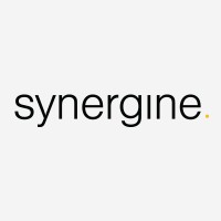 Synergine Group Limited logo - Similar company to Ames It And Numeric Solutions