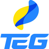 TEGroupe logo - Similar company to Shance Executive