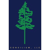 Consilium, LLC - Beverage Consulting logo - Similar company to Anna'S Cider