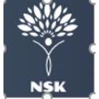 NSK Stratejik Finansal Danışmanlık A.Ş. logo - Similar company to Influspy