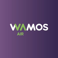 Wamos Air logo - Similar company to Iberia Express