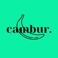 Cambur Venture logo - Similar company to Emanaged Ltd