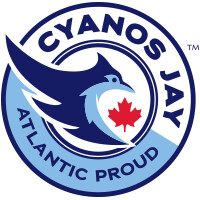 CyanosJay logo - Similar company to Søsken Studios