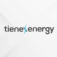 tienex logo - Similar company to Sunflow