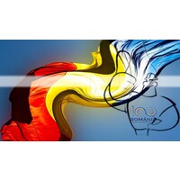 HandyMan International logo - Similar company to Dadanco Europe