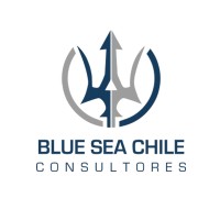 Blue Sea Chile logo - Similar company to Prosystem Chile
