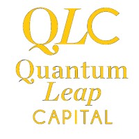 Quantum Leap Capital Pty Ltd logo - Similar company to Seoketso