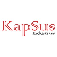 Kapsus Industries Private Limited logo - Similar company to Zephyr Organization