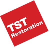The Steam Team / TST Restoration logo - Similar company to The Steam Team Inc.