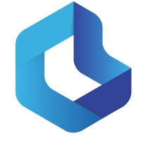 Bluebik Vietnam logo - Similar company to Bluebik Global