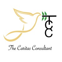 The Caritas Consultant