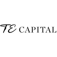 TE Capital Partners logo - Similar company to Plat Ventures