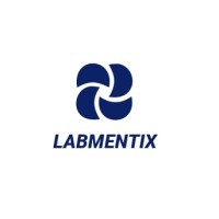 Labmentix logo - Similar company to Unified Mentor