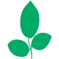 Wellness Therapies logo - Similar company to Breakthrough Functional Medicine