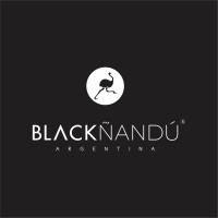 BLACKÑANDU logo - Similar company to Delight Studio