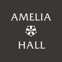 Amelia Hall logo - Similar company to Ringland Group