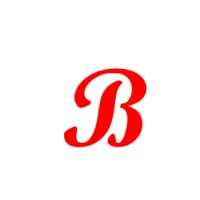 Bramic Industries logo - Similar company to Master Spring