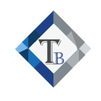 TechyBizz logo - Similar company to Techbizz - It Solutions