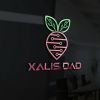 Xalis Dad MMC logo - Similar company to Xalis Dad