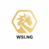 West Sealand International Nigeria. logo - Similar company to Insight Networking Technologies