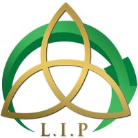 Limadi Industrial Projects logo - Similar company to Gibb Mining