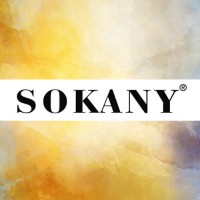 SOKANY logo - Similar company to Prifix Electronics
