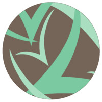 Voces Vitales Costa Rica logo - Similar company to Ideas En Acción