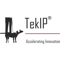 TekIP Knowledge Consulting Pvt. Ltd. logo - Similar company to Ripple Ip