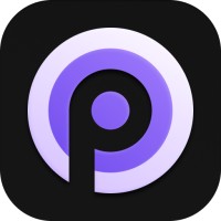 Picsalt AI logo - Similar company to Acadify Solutions