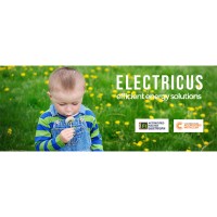 electricus logo - Similar company to Electricus As
