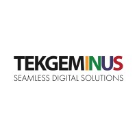 Tekgeminus logo - Similar company to Abjayon Inc.