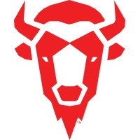 Bison Scout logo - Similar company to Gso Metals