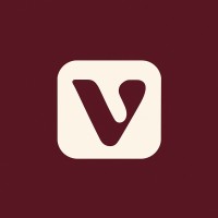 Velvet Studios AI logo - Similar company to Lady Wave Media