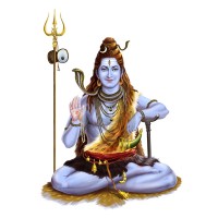 Hindu Priest In Bay Area, San Francisco, California, USA logo - Similar company to Shiva-Vishnu Temple, Livermore