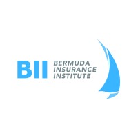 Bermuda Insurance Institute logo - Similar company to Bermuda Communications Group