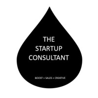 The Startup Consultant logo - Similar company to Velocity1, Llc