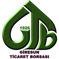 Giresun TB logo - Similar company to Adya Engineering