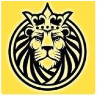 MM GLOBAL TECHNOLOGIES logo - Similar company to Ansar Youth Project