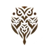 SA Partners Latam logo - Similar company to Pixels Ninja