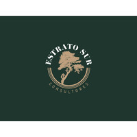 Estrato Sur Consultores logo - Similar company to Rallymobil Chile