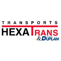 HEXATrans logo - Similar company to Digitalisim Studio