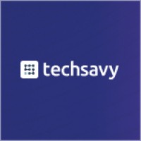 TechSavy logo - Similar company to Techsavy
