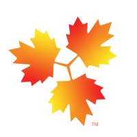 Maplewood Media Partners logo - Similar company to Insight Guide