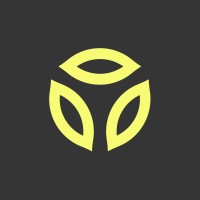 Graymatter logo - Similar company to Digital Surgeons