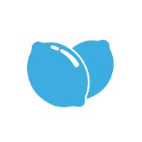 Blue Lemons logo - Similar company to Visionlake