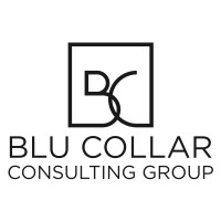 Blu Collar Consulting logo - Similar company to Modwella