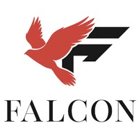 Falcon Advisory Group Ltd logo - Similar company to Keemia Investments & Finance Co.